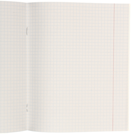 Тетрадь общая А5, 48 л. на скобе BG «Свои крылья», 162*203 мм, клетка, ассорти