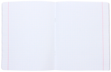 Тетрадь общая А5, 48 л. на скобе «Сияние цвета», 162*200 мм, клетка, «Малиново-розовый» Тетрадь общая А5, 48 л. на скобе «Сияние цвета», 162*200 мм, клетка, «Малиново-розовый»