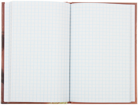 Книжка записная Prof-Press (А6), 100*150 мм, 48 л., клетка, «Девушка и котенок»