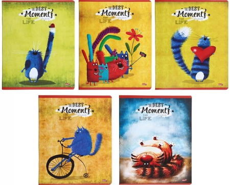 Тетрадь общая А5, 48 л. на скобе «Коты на ярком фоне», 162*202 мм, клетка, ассорти (белизна бумаги менее 80%) Тетрадь общая А5, 48 л. на скобе «Коты на ярком фоне», 162*202 мм, клетка, ассорти (белизна бумаги менее 80%)