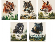 Тетрадь общая А5, 48 л. на скобе BG «Животные»