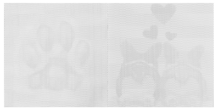 Раскраска-антистресс по точкам «Девушка в капюшоне», 210*210 мм, 10 л.