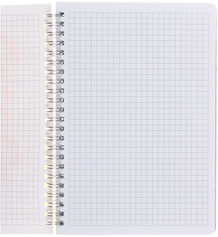 Тетрадь общая А5, 80 л. на гребне Light Book, 145*210 мм, клетка, 3, оранжевая Тетрадь общая А5, 80 л. на гребне Light Book, 145*210 мм, клетка, 3, оранжевая