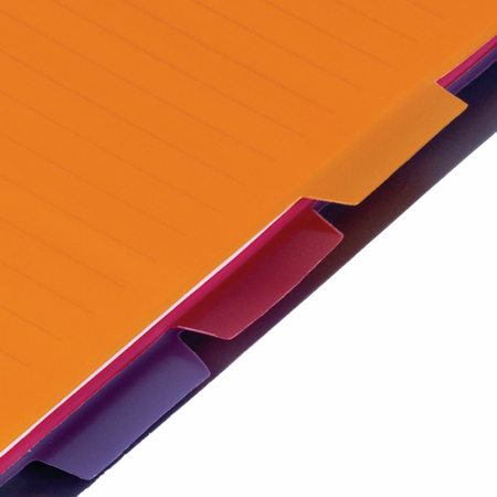 Блокнот-тетрадь на гребне с разделителями Brauberg, 170*215 мм, 120 л., линия, Rich, ассорти Блокнот-тетрадь на гребне с разделителями Brauberg, 170*215 мм, 120 л., линия, Rich, ассорти