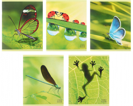 Тетрадь общая А5, 48 л. на скобе «Зеленая серия», 163*200 мм, клетка, ассорти