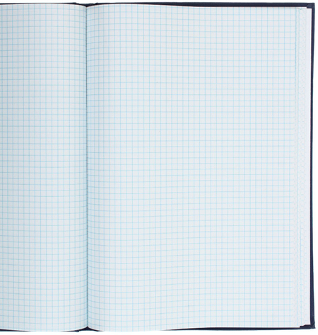 Книга учета Workmate, 200*290 мм, 96 л., клетка, синяя Книга учета Workmate, 200*290 мм, 96 л., клетка, синяя