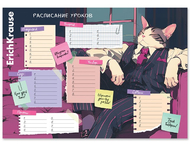 Расписание уроков ErichKrause А4 Расписание уроков ErichKrause А4