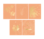 Тетрадь общая А5, 60 л. на скобе BG «Красота», 160×200 мм, клетка, ассорти