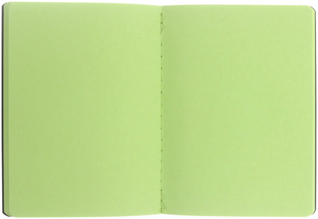 Книжка записная Fantasy (А6), 105*140 мм, 40 л., салатовый