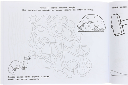 Раскраска А4 «Умка», 8 л., «Лесные жители» (с наклейками) Раскраска А4 «Умка», 8 л., «Лесные жители» (с наклейками)