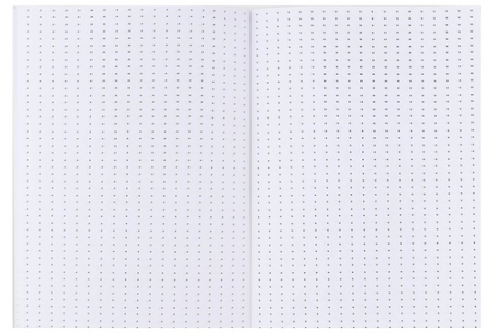 Ежедневник недатированный «Капибара» (А6), 100*137 мм, 80 л., точки