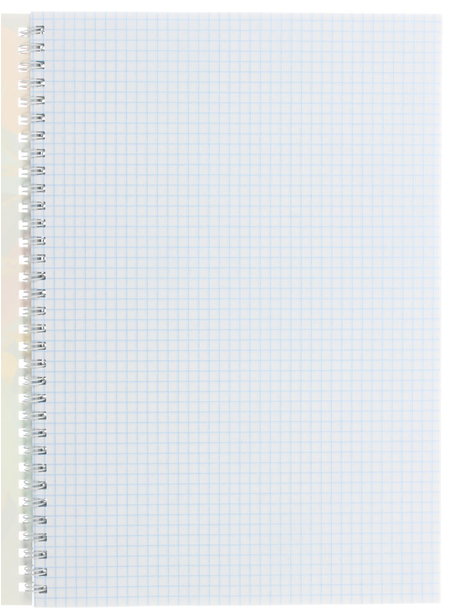 Тетрадь общая А4, 96 л. на гребне «Яркие листья», 200*290 мм, клетка