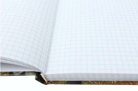 Тетрадь общая А4, 96 л. «Камушки», 208*284 мм, клетка