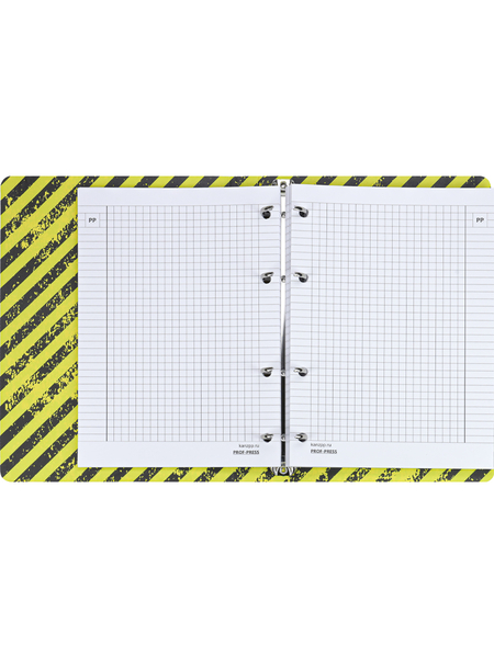 Тетрадь общая А5, 120 л. на кольцах «Дерзкие надписи», 160*215 мм, клетка