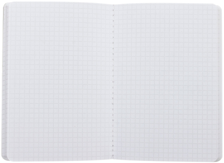 Книжка записная Format (А6+), 115*165 мм, 80 л., точки/клетка, «№4», бордовый