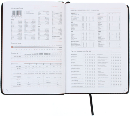 Ежедневник датированный на 2026 год BG Nebraska (А5), 145*210 мм, 176 л., черный Ежедневник датированный на 2026 год BG Nebraska (А5), 145*210 мм, 176 л., черный