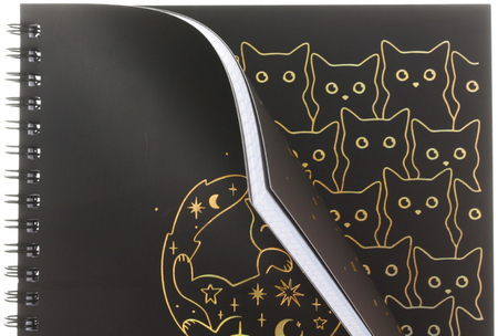 Тетрадь общая А5, 80 л. на гребне Meshu Black Cat, 165*205 мм, клетка Тетрадь общая А5, 80 л. на гребне Meshu Black Cat, 165*205 мм, клетка