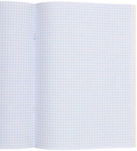 Тетрадь общая А4, 96 л. на скобе «Позолота», 198*275 мм, клетка Тетрадь общая А4, 96 л. на скобе «Позолота», 198*275 мм, клетка