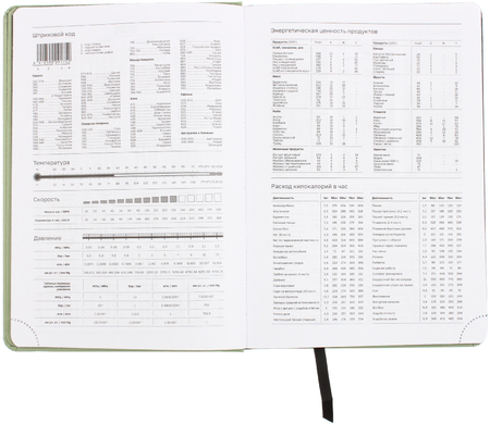 Ежедневник датированный на 2026 год BG Monochrome (А5), 145*210 мм, 176 л., Matcha, светло-зеленый