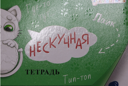 Тетрадь школьная А5, 12 л. на скобе «Нескучная тетрадь», 163*210 мм, линия, «Кошачья»