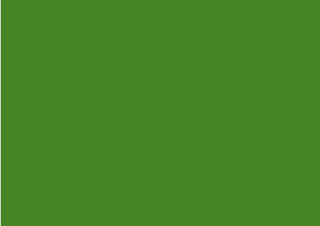 Бумага цветная для скрапбукинга Folia, зеленая травяная