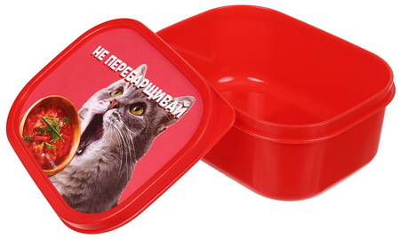 Ланч-бокс прямоугольный, 0,5 л, «Не перебарщивай» Ланч-бокс прямоугольный, 0,5 л, «Не перебарщивай»