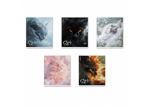 Тетрадь общая А5, 48 л. на скобе ErichKrause Cloudy Cats, 170×203 мм, клетка, ассорти Тетрадь общая А5, 48 л. на скобе ErichKrause Cloudy Cats, 170×203 мм, клетка, ассорти