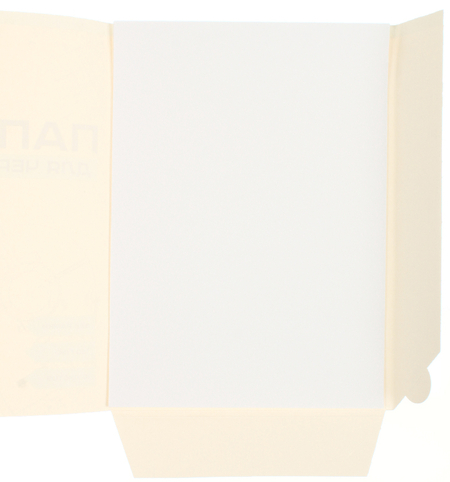 Папка для черчения BG, А4 (210*297 мм), 10 л., 160 г/м², без рамки Папка для черчения BG, А4 (210*297 мм), 10 л., 160 г/м², без рамки