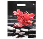 Пакет упаковочный «Тико-пластик» (31×40 см), 31×40 см, 60 мкм, «Гармония»