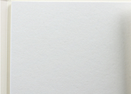Бумага для акварели «Енот в Волшебном мире», А4 (210*297 мм), 10 л.