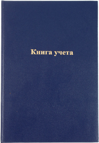 Книга учета Workmate, 200*290 мм, 96 л., клетка, синяя Книга учета Workmate, 200*290 мм, 96 л., клетка, синяя