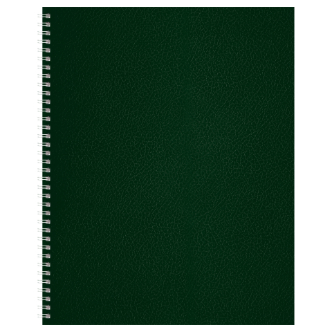 Тетрадь общая А4, 96 л. на гребне BG 200×270 мм, клетка, зеленая