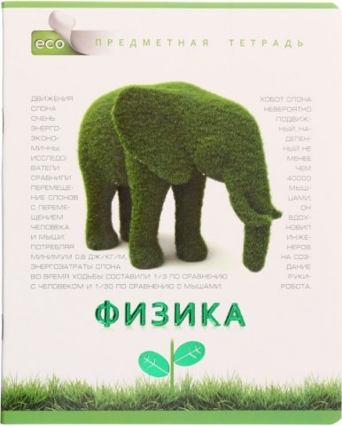 Тетрадь общая А5, 48 л. на скобе «Зеленая серия», 165*205 мм, клетка, «Физика»