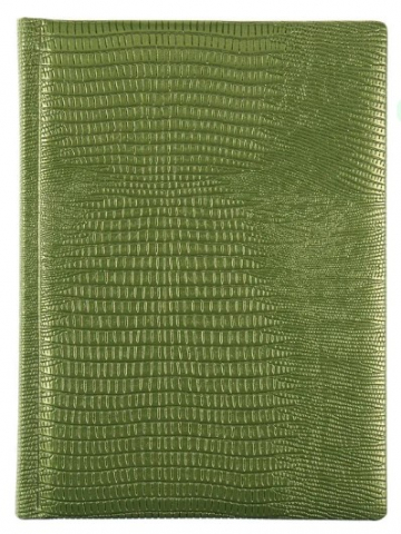 Ежедневник недатированный Sigrid, 145*200 мм, 160 л., зеленый перламутр Ежедневник недатированный Sigrid, 145*200 мм, 160 л., зеленый перламутр