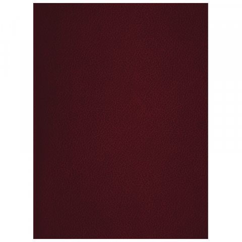 Тетрадь общая А4, 96 л. на скобе BG 200×270 мм, клетка, бордовая