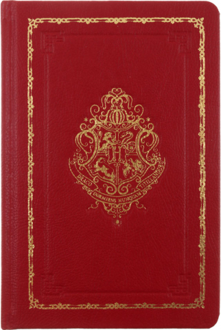 Книжка записная «Гарри Поттер» 145×220 мм, 96 л., линия, «Хогвартс»