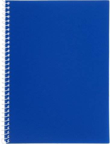 Книжка записная на спирали Economix , 145*200 мм, 80 л., клетка, синий Книжка записная на спирали Economix , 145*200 мм, 80 л., клетка, синий