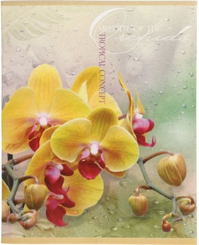 Тетрадь общая А5, 48 л. на скобе «Орхидеи», 165*200 мм, клетка, (белизна бумаги менее 80%)