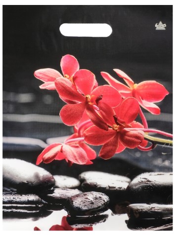 Пакет упаковочный «Тико-пластик» (31*40 см), 31*40 см, 60 мкм, «Гармония»