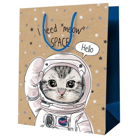 Пакет подарочный крафт Meshu 18×23×10 см, «Космический кот»
