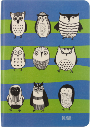 Арт-ежедневник недатированный «Всюду совы», 115*165 мм, 128 л., «Дизайн 1»