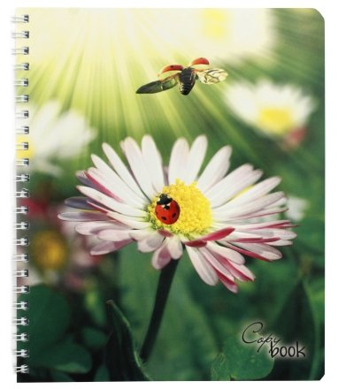 Тетрадь общая А5, 60 л. на гребне «Летняя симфония», 165*205 мм, клетка