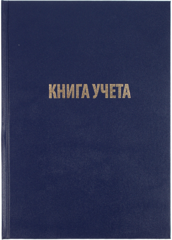 Книга учета Workmate, 200*290 мм, 96 л., клетка, синяя