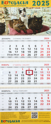 Календарь настенный трехрядный на 2025 год «Котовасия» (благотворительный), 29,5*72 см