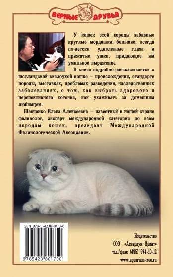 Книга «Шотландская вислоухая кошка. Ум и обаяние», 125*200 мм, 192 с., с иллюстрациями