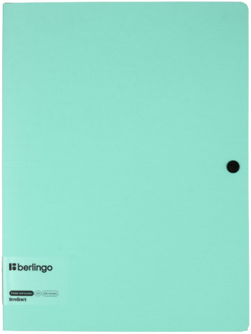 Папка-конверт пластиковая на кнопке Berlingo Instinct А4 толщина пластика 0,6 мм, мятная