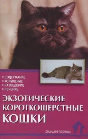 Книга «Экзотические короткошерстные кошки. Содержание, кормление, разведение, лечение», 125*200 мм, 80 с., с иллюстрациями