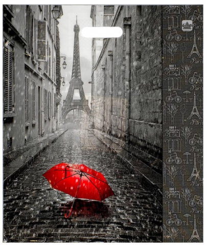 Пакет подарочный полиэтиленовый Sima-Land 38×45 см, 60 мкм, «Мой Париж»