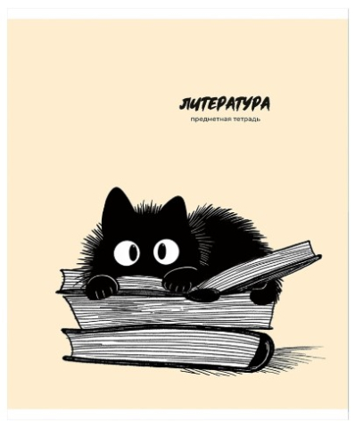 Тетрадь предметная А5, 48 л. на скобе Bad Cat 165×205 мм, линия, «Литература»