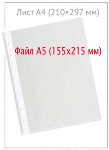 Файл А5 перфорированный Economix, 30 мкм, текстурированный, матовый, 155*215 мм (до 70 л.)